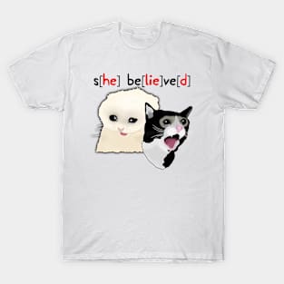 14 Year Old Girl Sbeve Cat Meme T-Shirt